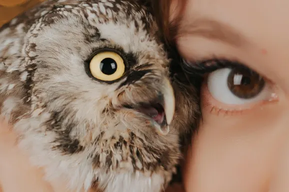 Casino B Bets Assistance